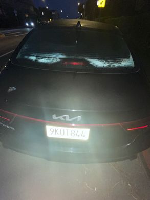 Guest photo